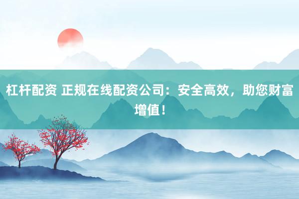 杠杆配资 正规在线配资公司:安全高效,助您财富增值!