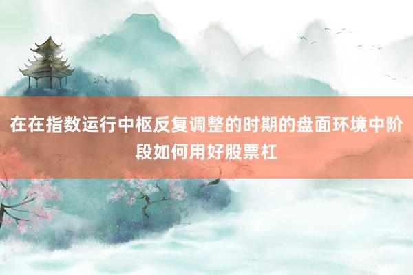 在在指数运行中枢反复调整的时期的盘面环境中阶段如何用好股票杠