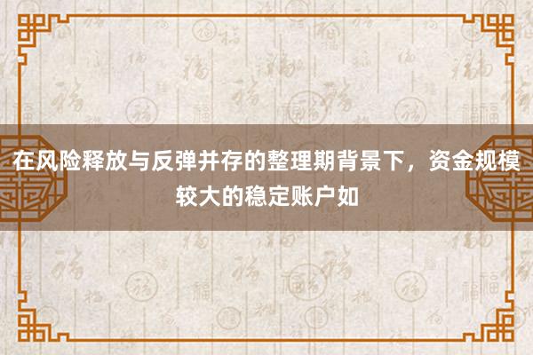 在风险释放与反弹并存的整理期背景下，资金规模较大的稳定账户如