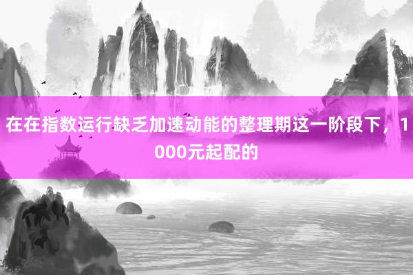 在在指数运行缺乏加速动能的整理期这一阶段下，1000元起配的
