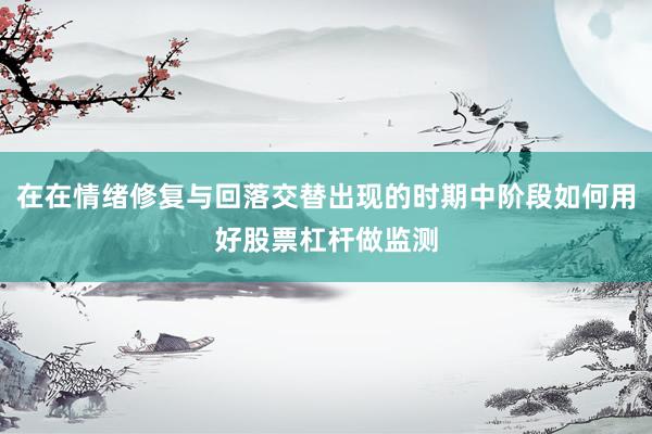在在情绪修复与回落交替出现的时期中阶段如何用好股票杠杆做监测