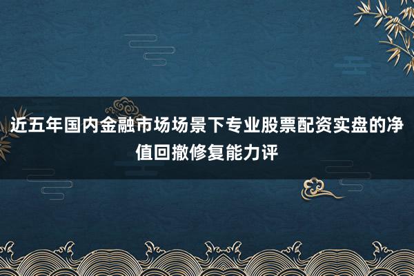 近五年国内金融市场场景下专业股票配资实盘的净值回撤修复能力评